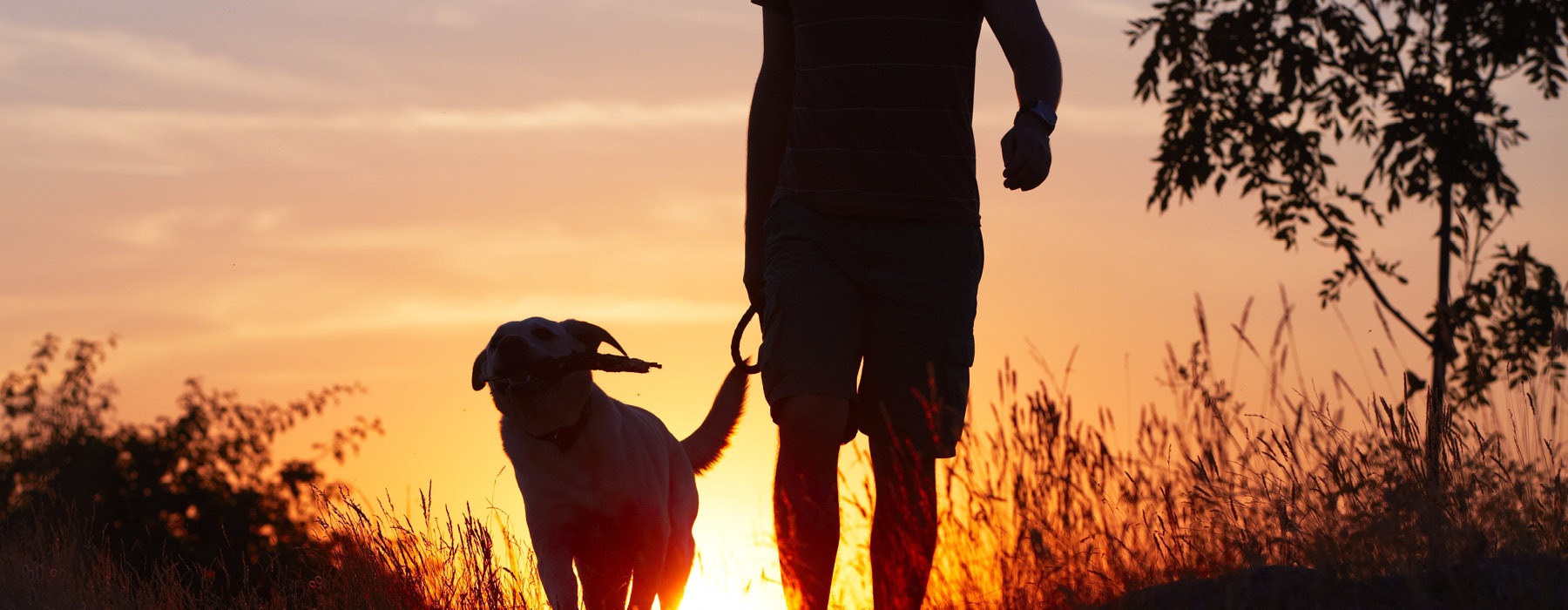 Sillouette of man and dog during sunset